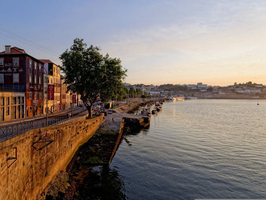 Summer on the Continent