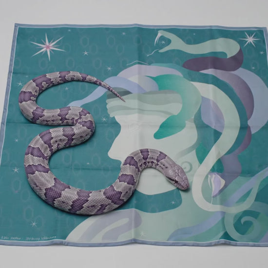 Halcyon Medusa silk scarf with illustration of snake moving over it.
